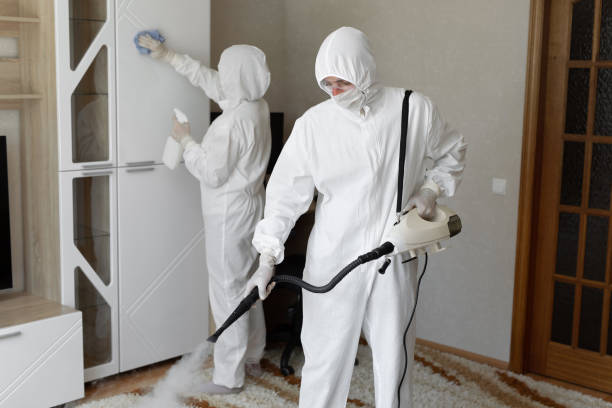 24/7 Emergency Odor Removal experts in San Leandro, CA