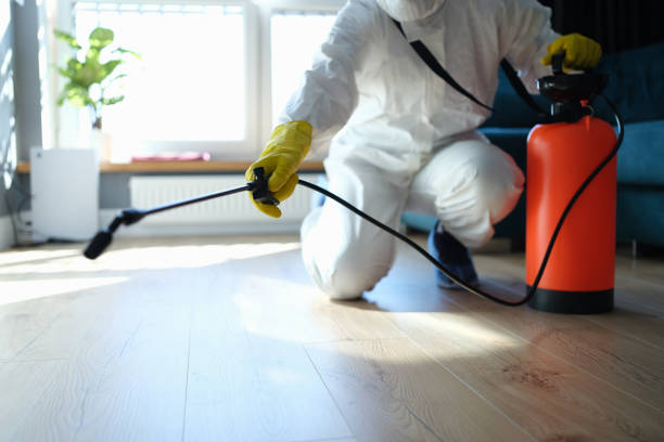 Reliable Odor Removal contractor in San Leandro, CA by Trauma Clean Pros